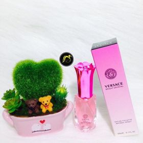 Rose Mary 20ml nước hoa chiết chuẩn Authentic với 21 mùi hương HOT dành riêng cho phái đẹp giá sỉ
