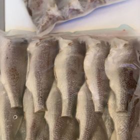 Thực phẩm sỉ và lẻ Cá đù 1 nắng ghe nha làm cá lớn khoảng 6-10kg giá sỉ