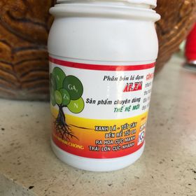 Sản phẩm thích họp cho mọi loại cây trồng kích rễ xanh lá lớn trái giá sỉ