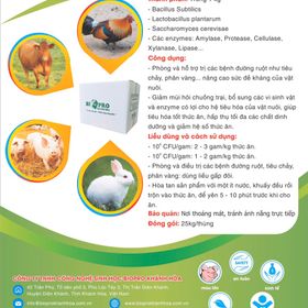 Nguyên liệu Enzyme tổng hợp tiêu hóa dùng cho chăn nuôi heo, bò, gà, thỏ giá sỉ